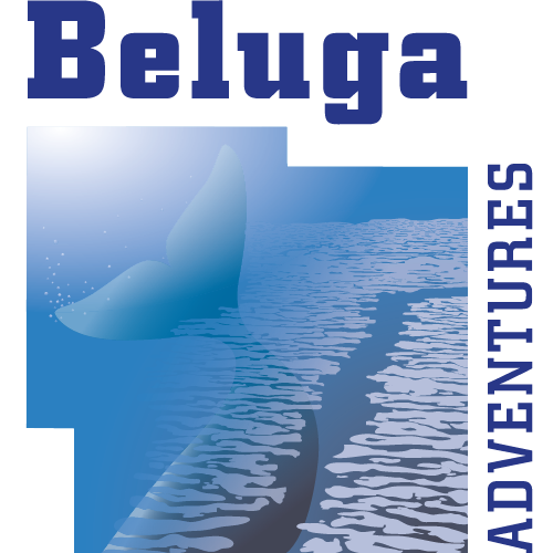 Logo - Beluga Adventures
