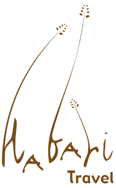 Logo - Habari Travel